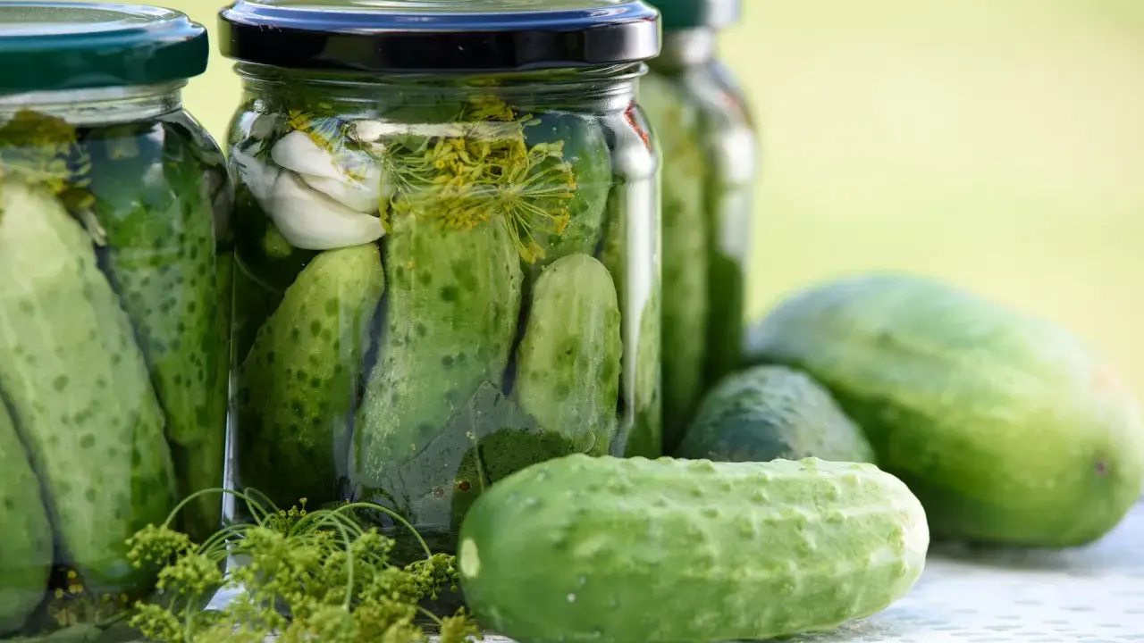 Burkar med inlagda gurkor, vitlök och dill. Perfekt för ett gott saltgurka recept.