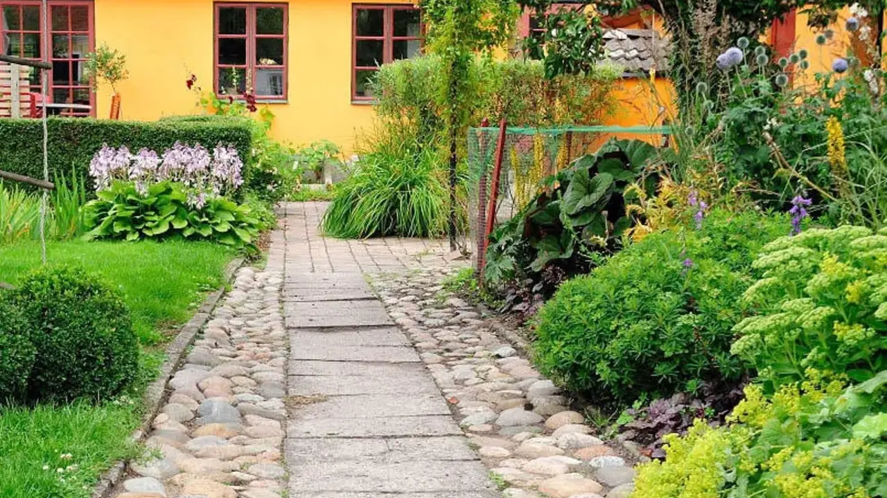 En stenlagd gång leder genom en lummig trädgård med en gul fasad. Bland gröna växter syns lila blommor och några små orangea blommor som lyser upp.