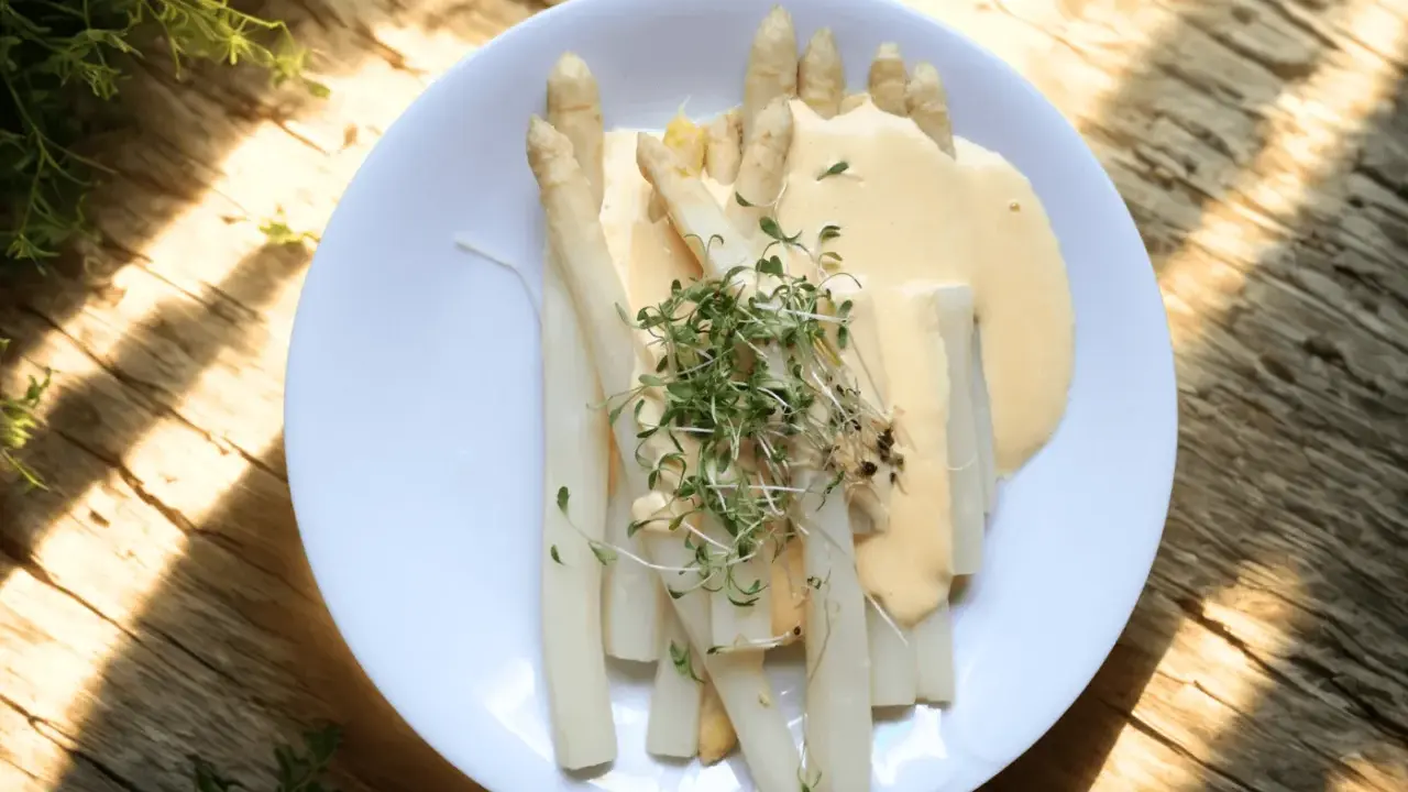 En tallrik med perfekt kokt vit sparris, täckt av en krämig sås och toppad med färska groddar. En härlig vårrätt.