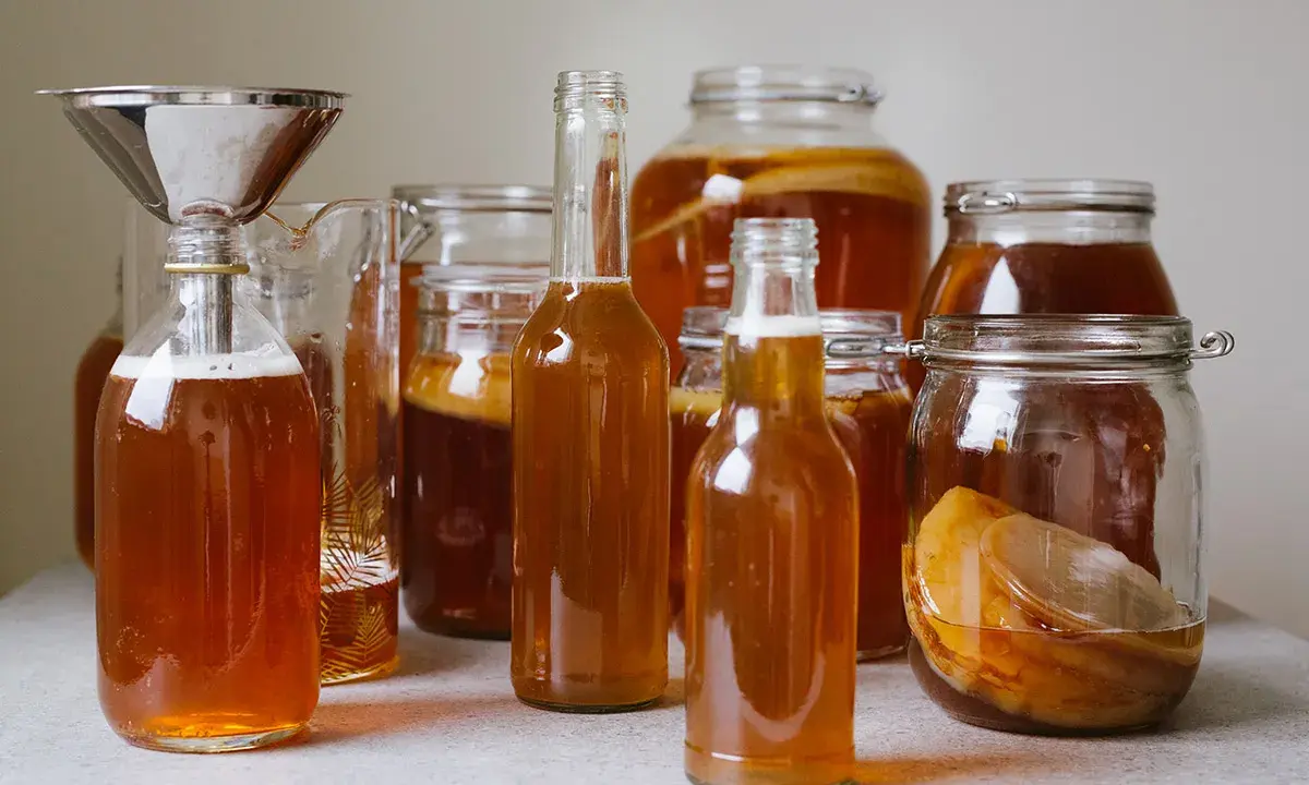 Flera flaskor och burkar med hemgjord kombucha, redo för andra jäsningen. Ett perfekt kombucha recept för hemmabruk.