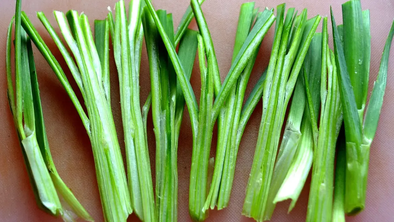 Nyskördade stjälkar av gräslök (Allium schoenoprasum) ligger uppradade, redo att förhöja smaken i köket.