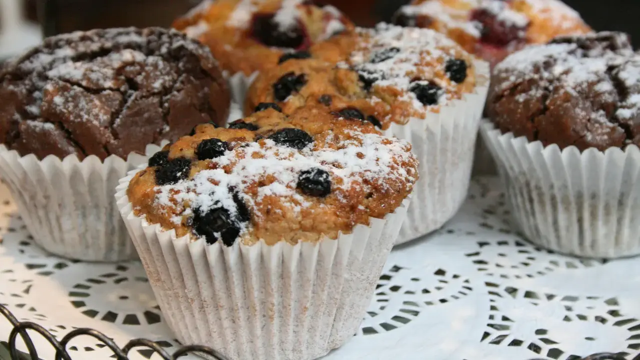 Färska muffins med blåbär och choklad, pudrade med florsocker. Perfekt för ett enkelt muffins recept.