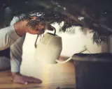 En hand vattnar julgranen med en liten vattenkanna. Snart är det dags att dekorera julgranen.