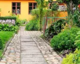 En stenlagd gång leder genom en lummig trädgård med en gul fasad. Bland gröna växter syns lila blommor och några små orangea blommor som lyser upp.