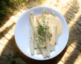 En tallrik med perfekt kokt vit sparris, täckt av en krämig sås och toppad med färska groddar. En härlig vårrätt.