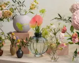 En samling vaser med olika typer av blommor, inklusive pioner, tulpaner och hortensior i mjuka pastellfärger.