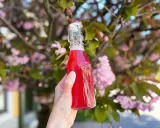 En hand håller en flaska med rosa rabarbersirap framför blommande körsbärsträd.