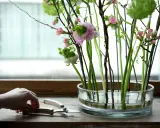 En hand förbereder vanliga snittblommor i en glasvas med en blomstergaffel. Rosa blommor och gröna detaljer skapar en vacker bukett.