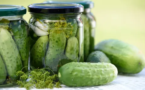 Burkar med inlagda gurkor, vitlök och dill. Perfekt för ett gott saltgurka recept.