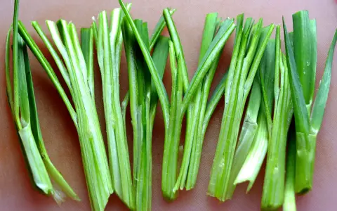 Nyskördade stjälkar av gräslök (Allium schoenoprasum) ligger uppradade, redo att förhöja smaken i köket.