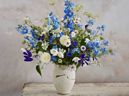 En vacker bukett med blå och vita perenna snittblommor, som riddarsporre och prästkrage, i en rustik vas.