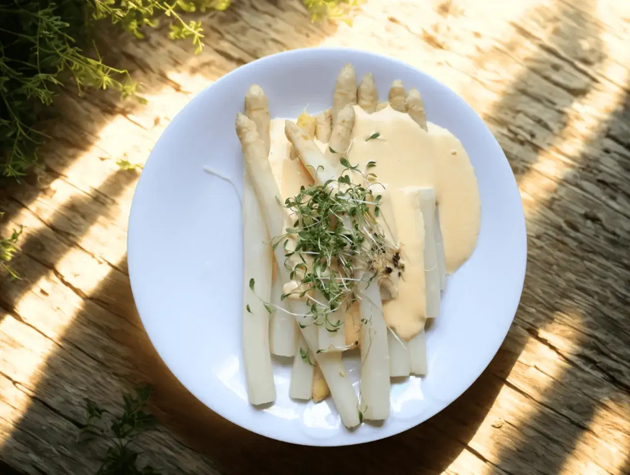 En tallrik med perfekt kokt vit sparris, täckt av en krämig sås och toppad med färska örter. En klassisk vårrätt som är enkel att laga.